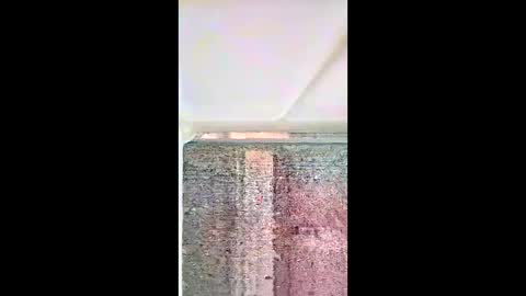 Snapshot of bhammerd5 chatting on 17, 5, 2026 bhammerd5 online show from 17, 5, 2026