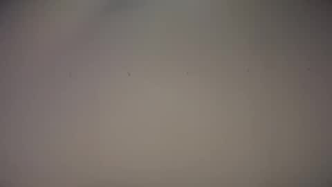 Snapshot of biff_beaverhausen chatting on 1, 11, 2025 Biff Beaverhousen online show from 1, 11, 2025