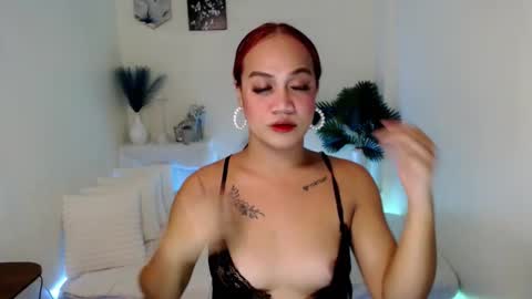 Gazini online show from 16, 9, 2025