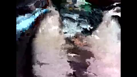 bigbird0100101 online show from 7, 2, 2026