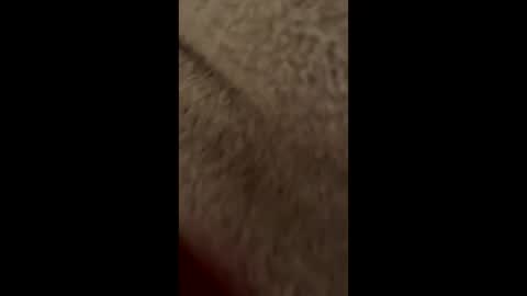 Lolipopped online show from 10, 1, 2025