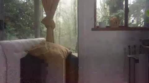 bigbossforsirius online show from 1, 12, 2024