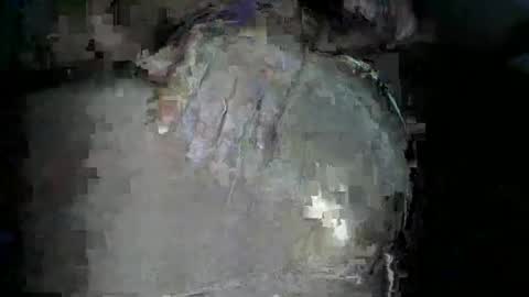 bigboybigbutt69 online show from 15, 11, 2025