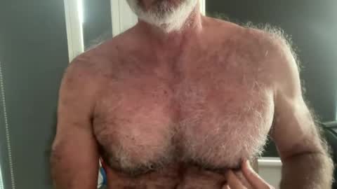 Snapshot of bigbush1 chatting on 19, 6, 2026 big bush online show from 19, 6, 2026