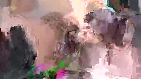 Artura online show from 18, 12, 2024