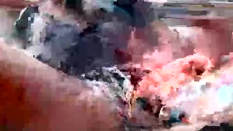 bigcock977654 online show from 21, 12, 2024