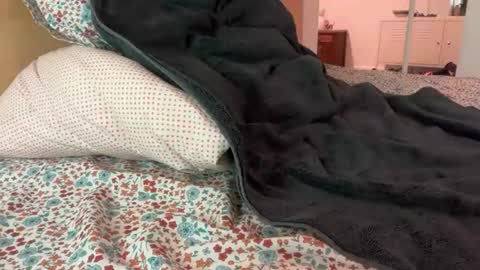 Snapshot of bigcollegecock69690 chatting on 24, 6, 2026 bigcollegecock69690 online show from 24, 6, 2026