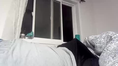 Snapshot of bigcumcanada chatting on 18, 12, 2024 bg online show from 18, 12, 2024