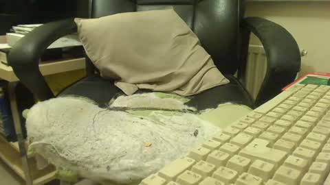 bigcurve online show from 30, 1, 2025