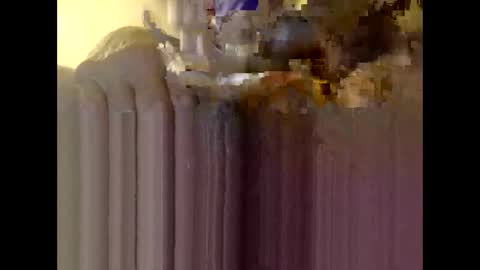 Snapshot of bigdaddydongarlets391292 chatting on 4, 12, 2025 bigdaddydongarlets391292 online show from 4, 12, 2025