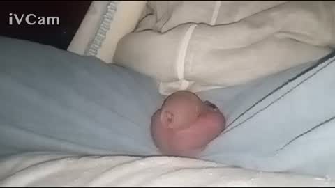 Big online show from 2, 2, 2025