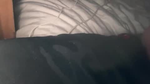 Snapshot of bigdick686268 chatting on 3, 10, 2025 Pac Man Sex online show from 3, 10, 2025