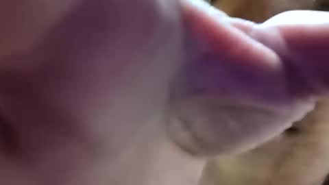 Snapshot of bigdickdaddy7201979564868 chatting on 10, 6, 2026 bigdickdaddy7201979564868 online show from 10, 6, 2026
