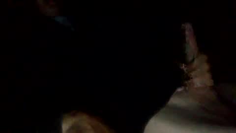 Snapshot of bigdickdangles472924 chatting on 25, 7, 2026 bigdickdangles472924 online show from 25, 7, 2026