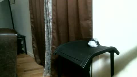 Snapshot of bigdickjimmywill chatting on 17, 5, 2026 CAJEinc online show from 17, 5, 2026