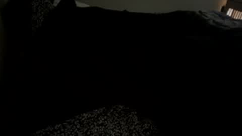 bigdickpapishampoo online show from 1, 12, 2025