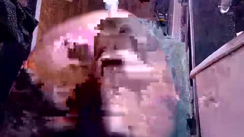 bigdog9thick online show from 6, 12, 2024