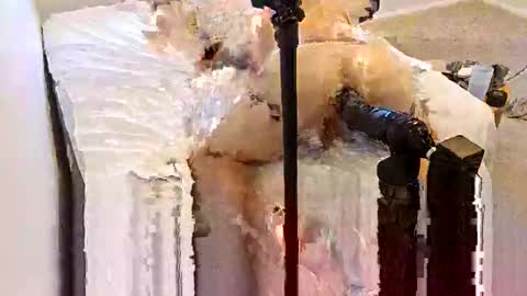 Biggape online show from 26, 11, 2025