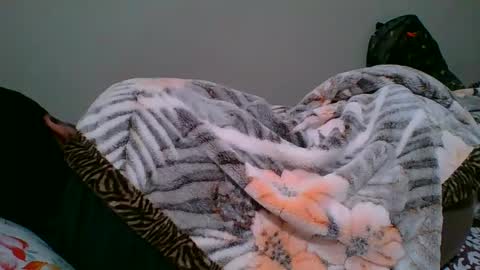 bighandsomesatisfy online show from 6, 1, 2025