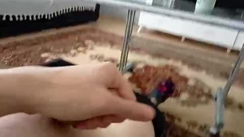 bighardlongdick20cm online show from 24, 5, 2026