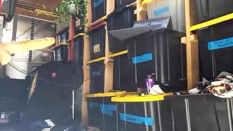 Snapshot of bigmanaround9 chatting on 15, 12, 2025 bigmanaround9 online show from 15, 12, 2025