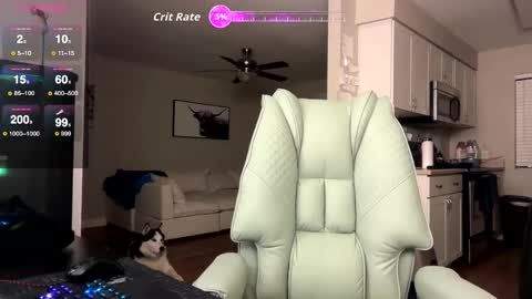 Snapshot of bigmcr1 chatting on 3, 2, 2026 Nick Barker online show from 3, 2, 2026