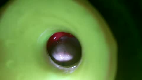 bigmoneycorey online show from 1, 4, 2026