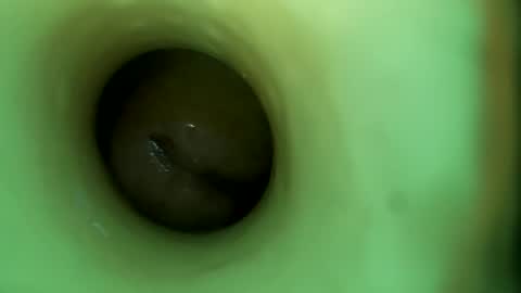 bigmoneycorey online show from 16, 4, 2026