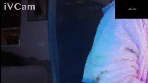 Snapshot of bigomale63 chatting on 21, 9, 2025 Anton online show from 21, 9, 2025