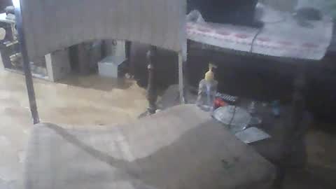 bigpenix online show from 26, 4, 2026