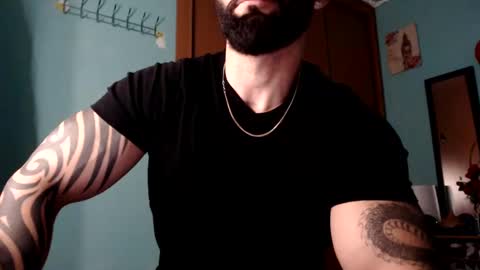 BigStallion online show from 6, 12, 2024