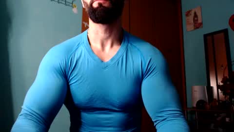 BigStallion online show from 10, 12, 2024