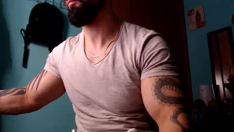 BigStallion online show from 31, 12, 2024