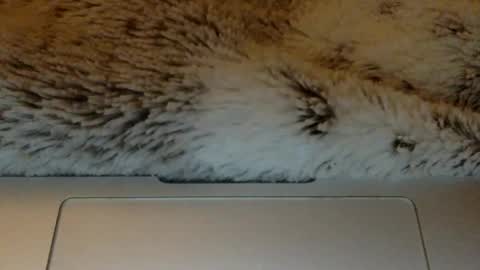 bigtitslover3500 online show from 21, 3, 2026