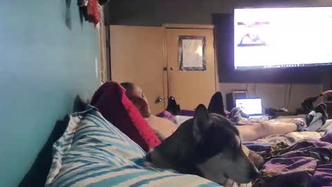 bigtomcat45 online show from 24, 12, 2024