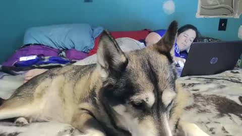 bigtomcat45 online show from 26, 12, 2024