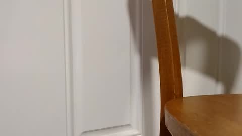 Snapshot of bigtopcircus chatting on 28, 2, 2026 bigtopcircus online show from 28, 2, 2026