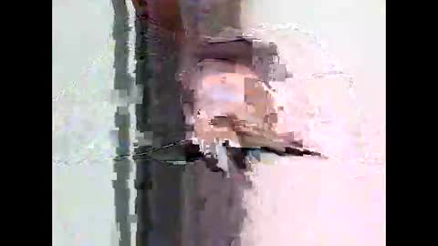 Snapshot of bigtrozo chatting on 8, 6, 2026 bigtrozo online show from 8, 6, 2026