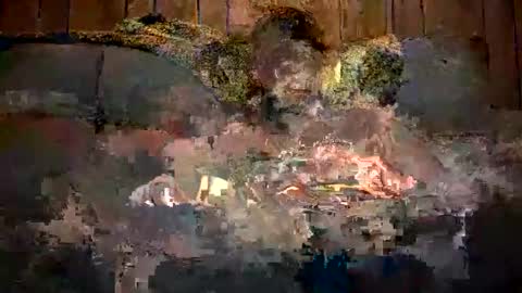 bigwytecock1979 online show from 11, 12, 2024