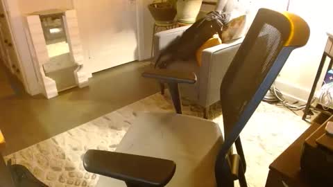 Jeff online show from 29, 3, 2026