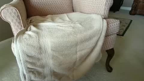 billernest99 online show from 1, 10, 2025