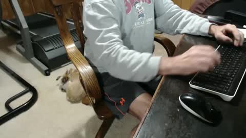 Snapshot of billy471 chatting on 5, 1, 2025 billy471 online show from 5, 1, 2025