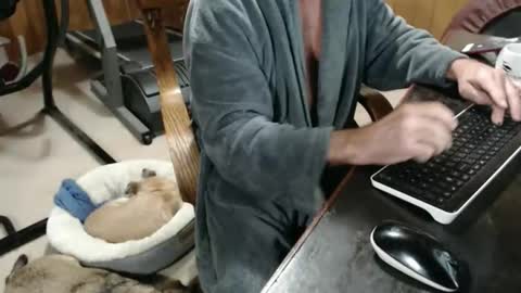 Snapshot of billy471 chatting on 20, 11, 2025 billy471 online show from 20, 11, 2025