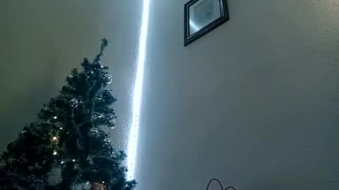 Bill online show from 6, 1, 2025