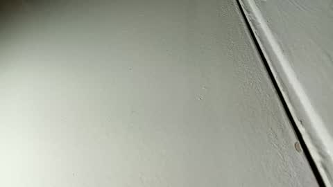 Bill online show from 19, 1, 2025