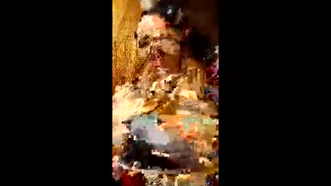 Snapshot of bina241986 chatting on 10, 6, 2026 bina241986 online show from 10, 6, 2026