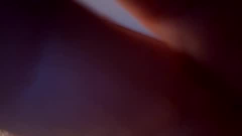 Snapshot of bird70 chatting on 16, 11, 2025 spunday online show from 16, 11, 2025