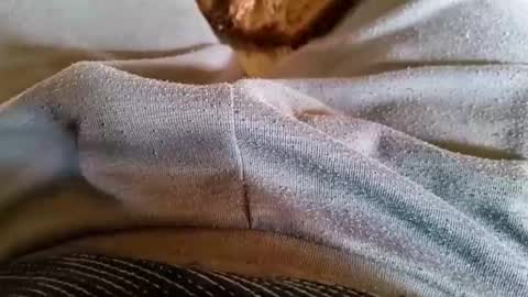 pocolococo online show from 23, 3, 2026