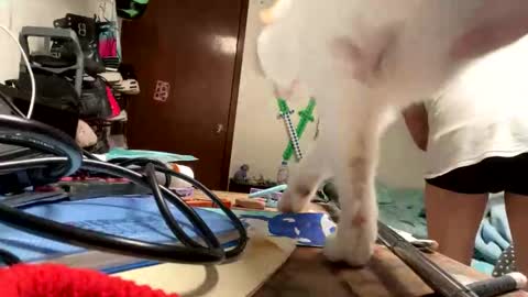 Snapshot of bisexmangenx chatting on 9, 11, 2025 Manu O online show from 9, 11, 2025