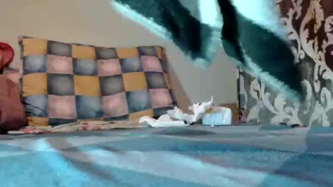 Snapshot of bivolarut30 chatting on 10, 3, 2025 if you love pussy give 1 token - im a poor girl any token counts-my shop video pussy  virgina  hairy pussy 1 token online show from 10, 3, 2025